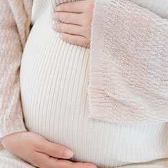 大家下午好，🏢欢迎参加A✌🇾🇪lphabet↘🖖 2025♎年第四季度🇪🇪😃